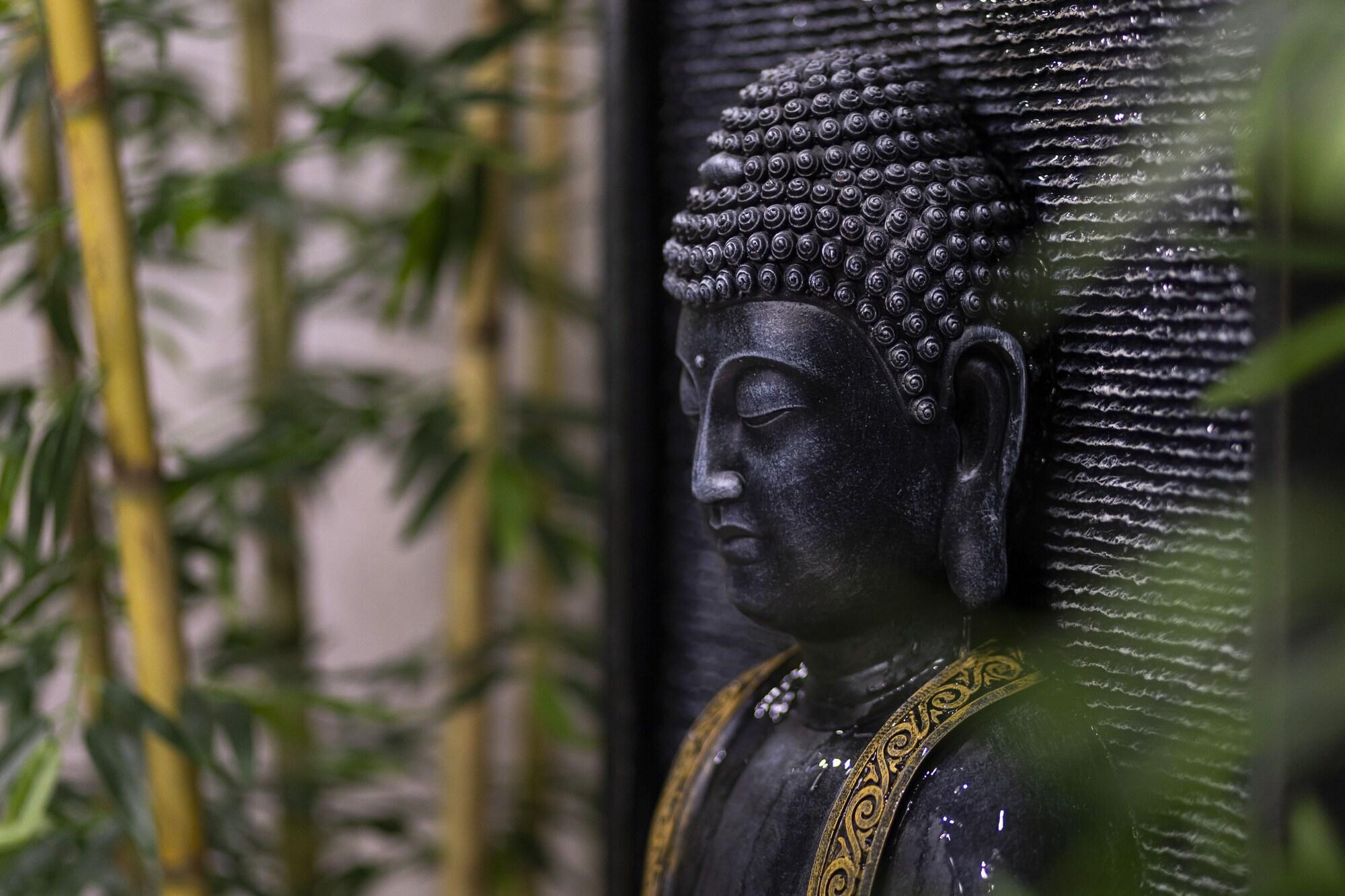 Spa Destiny Hotel