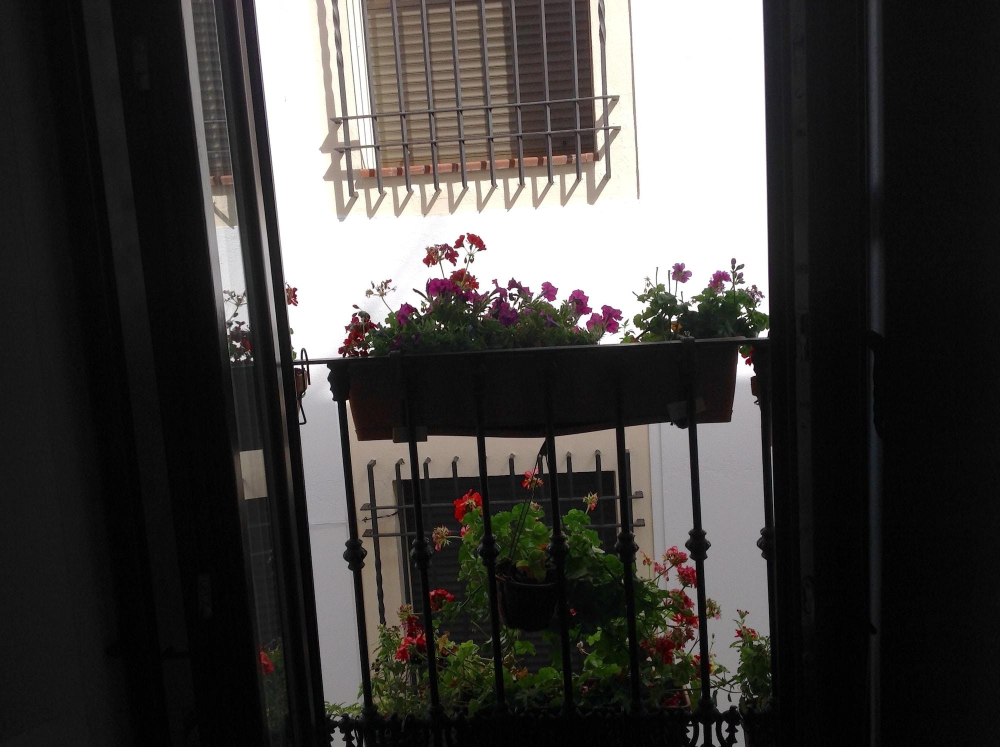 Equipamiento de Habitación Hospedería Alma Andalusí