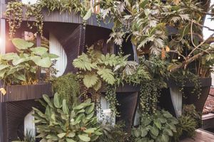 Alojamiento - Selvario 36 Hotel