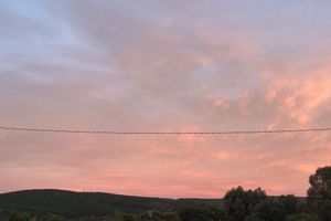 Alquiler Vacacional - House with forest views in vibrant central goldfields town only 1.5hr from Melb