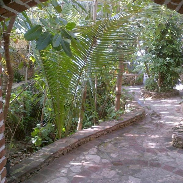 Guesthouse Las piedras