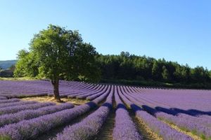 Alquiler Vacacional - Studio