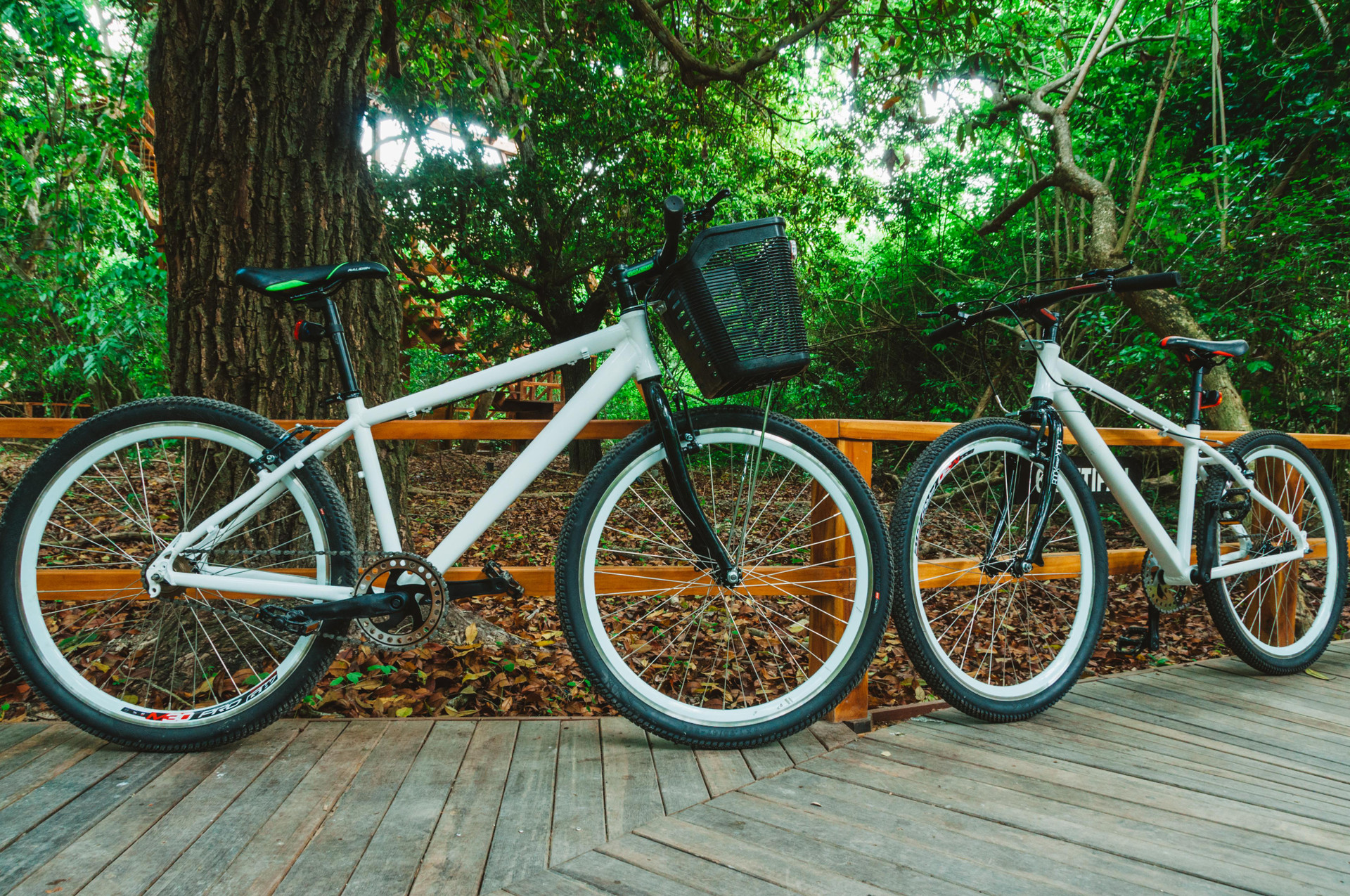 Hotel Hotel Las Islas