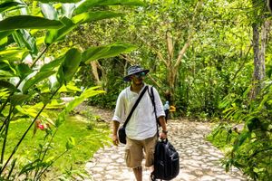 Alojamiento - Jungle Lodge Hotel