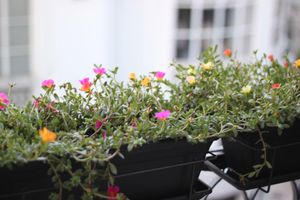 Alojamiento - B The Guest Downtown