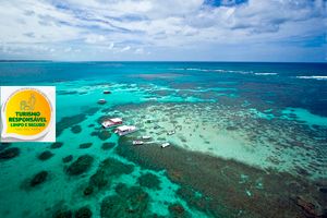 Actividad - Paseo catamarán en las piscinas naturales de Maragogi+ Transfer