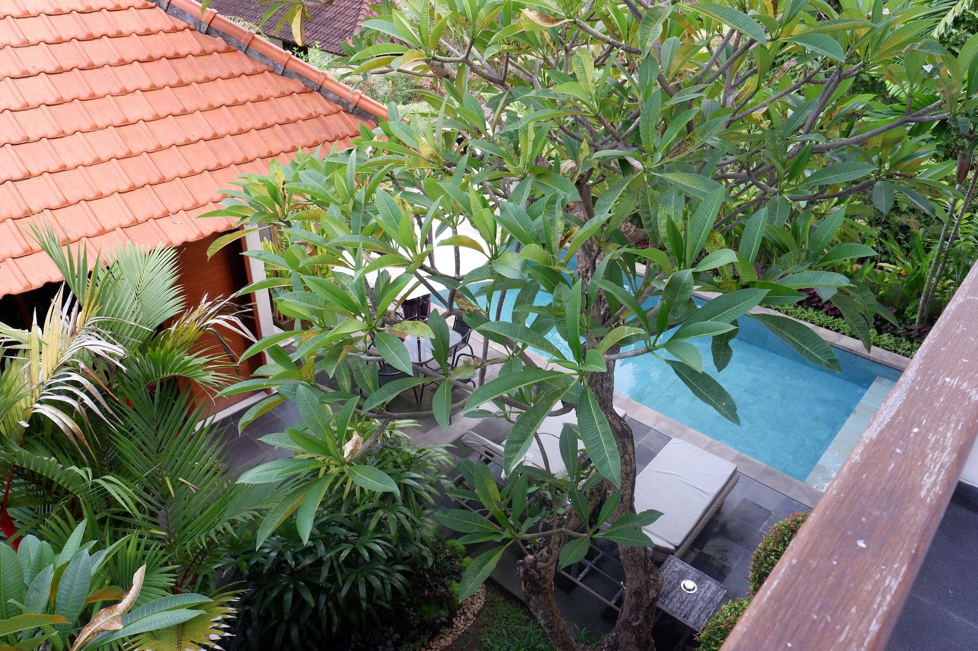 Vista Exterior Abyan Guest House