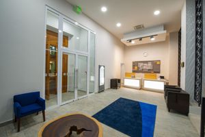 Alojamiento - Holiday Inn Express Merida Centro