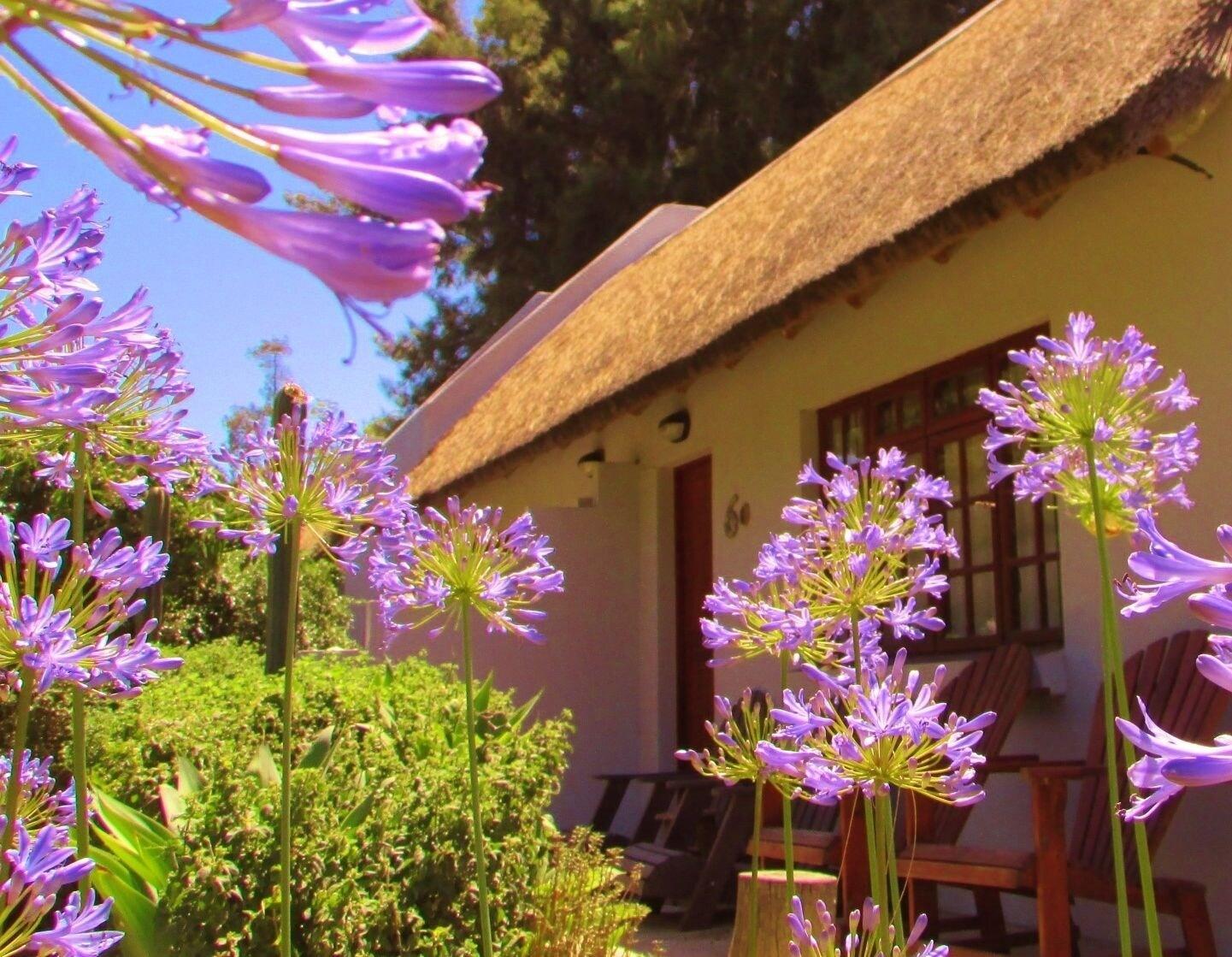 Varios Rosedale Organic Farm B&B