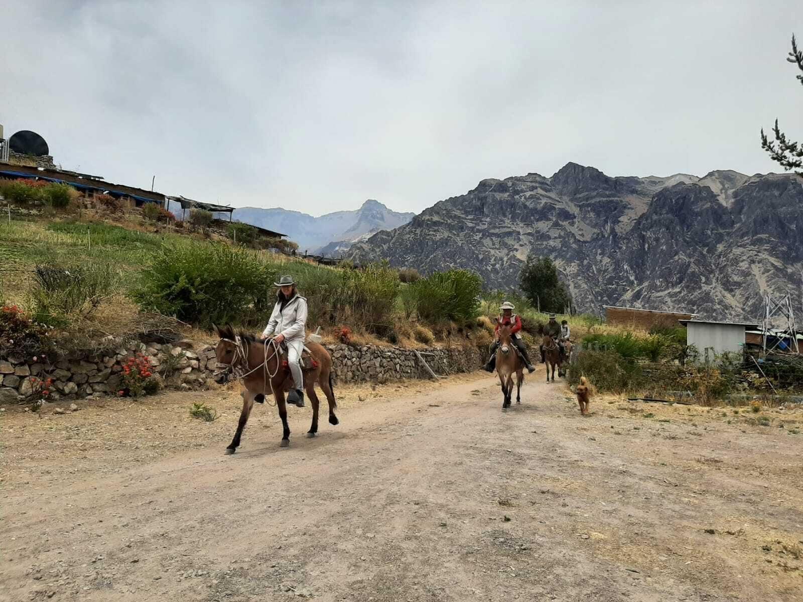Instalaciones Recreativas La Granja del Colca