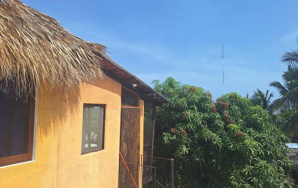 Tower Bridge Hostel - Hoteles pet friendly en Puerto Escondido, Oaxaca