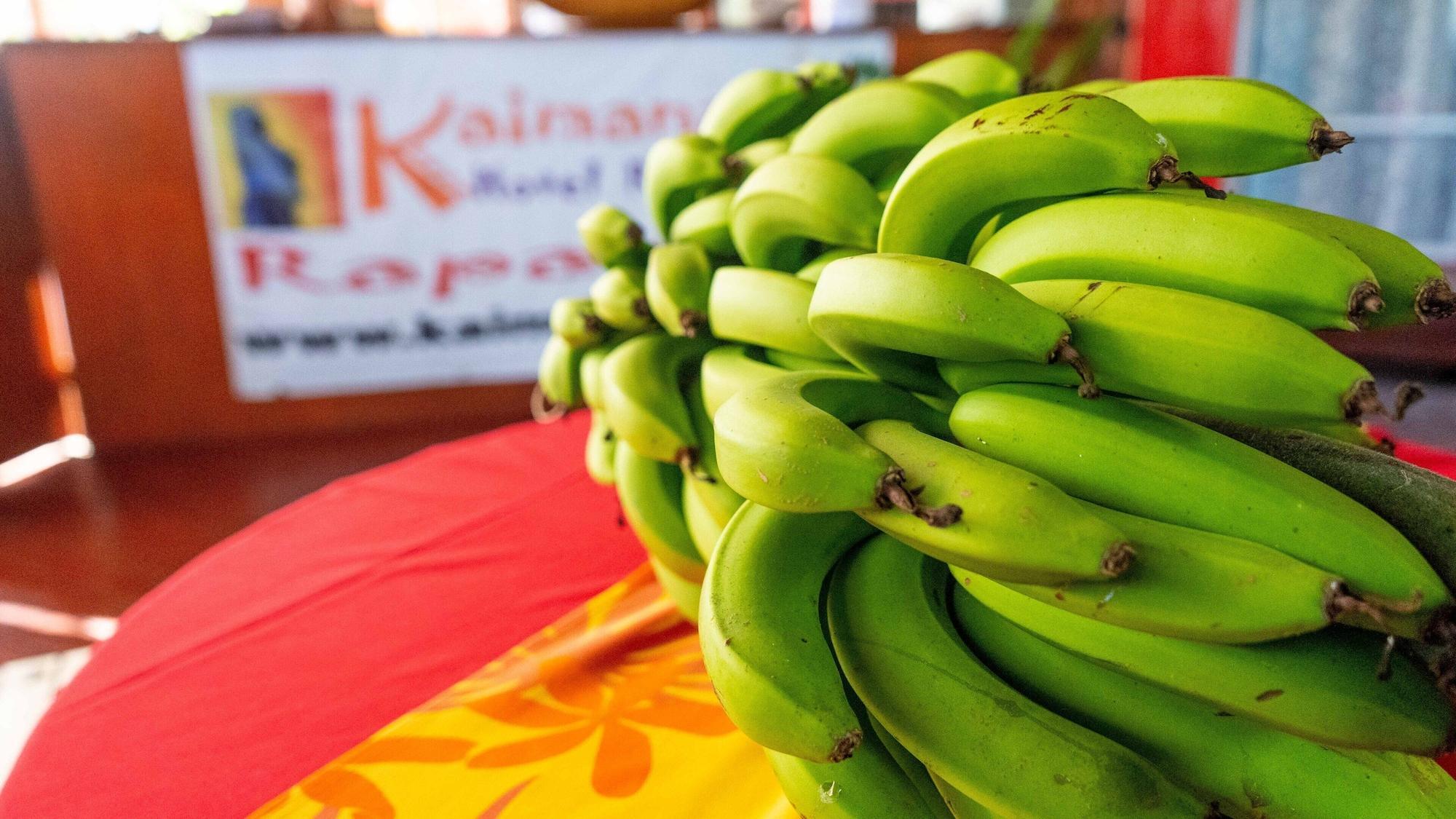 Restaurant Kaimana Inn Hotel Restaurant