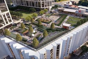 Alojamiento - The Watermark Hotel