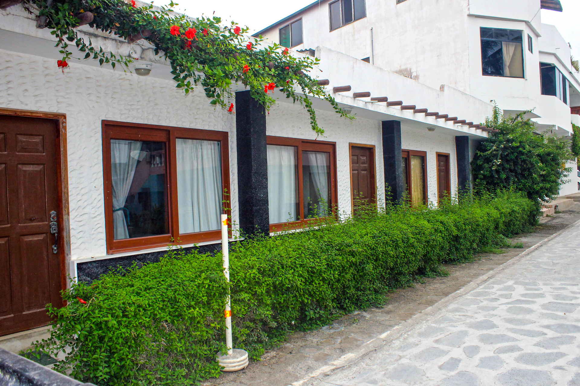 Vista Exterior Hotel La Gran Tortuga - Starlink