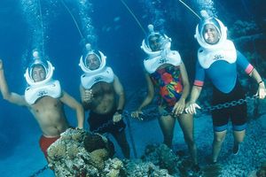 Actividad - De Palm Island + Caminar bajo el mar