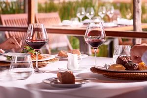 Actividad - Visita a la bodega Bouza