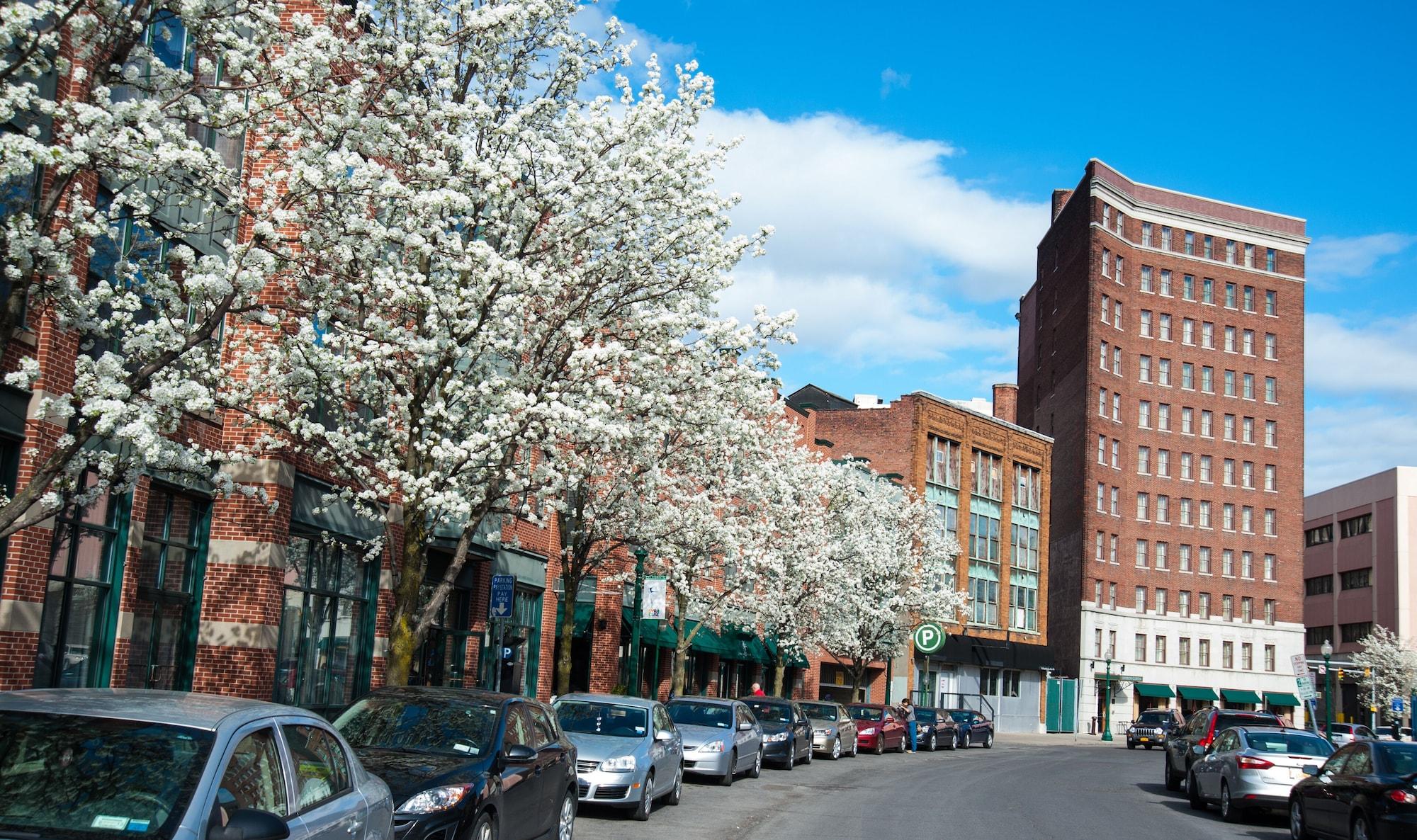 Varios Best Western Syracuse Downtown Hotel and Suites