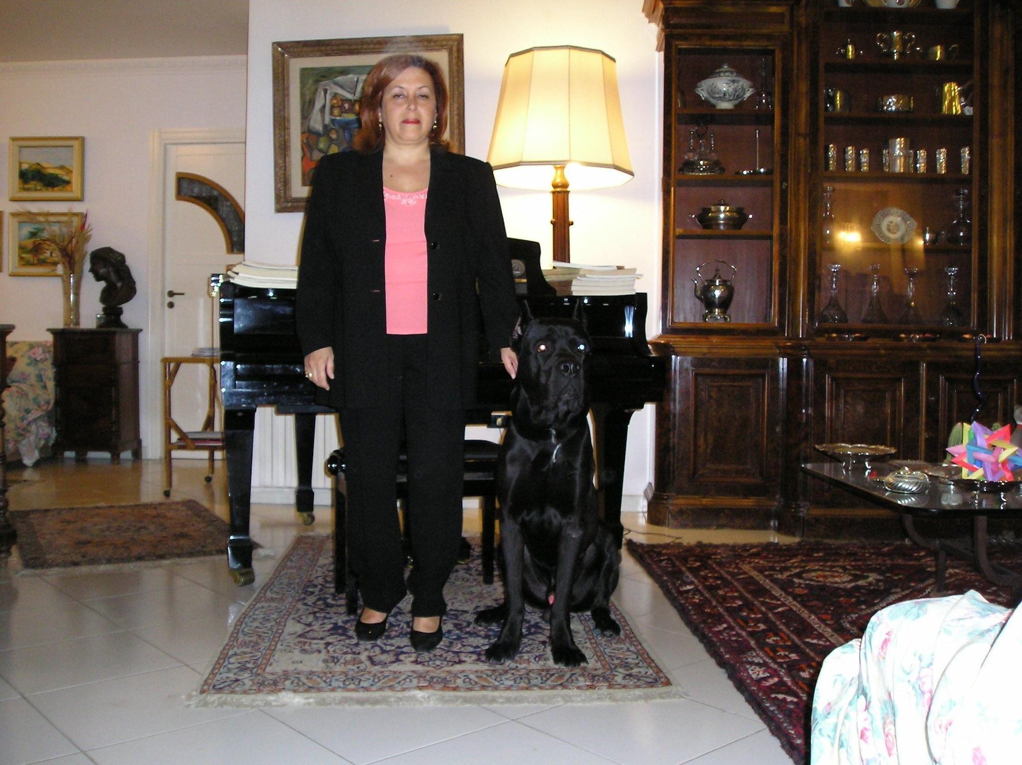 Sala de Reuniones Casa 12