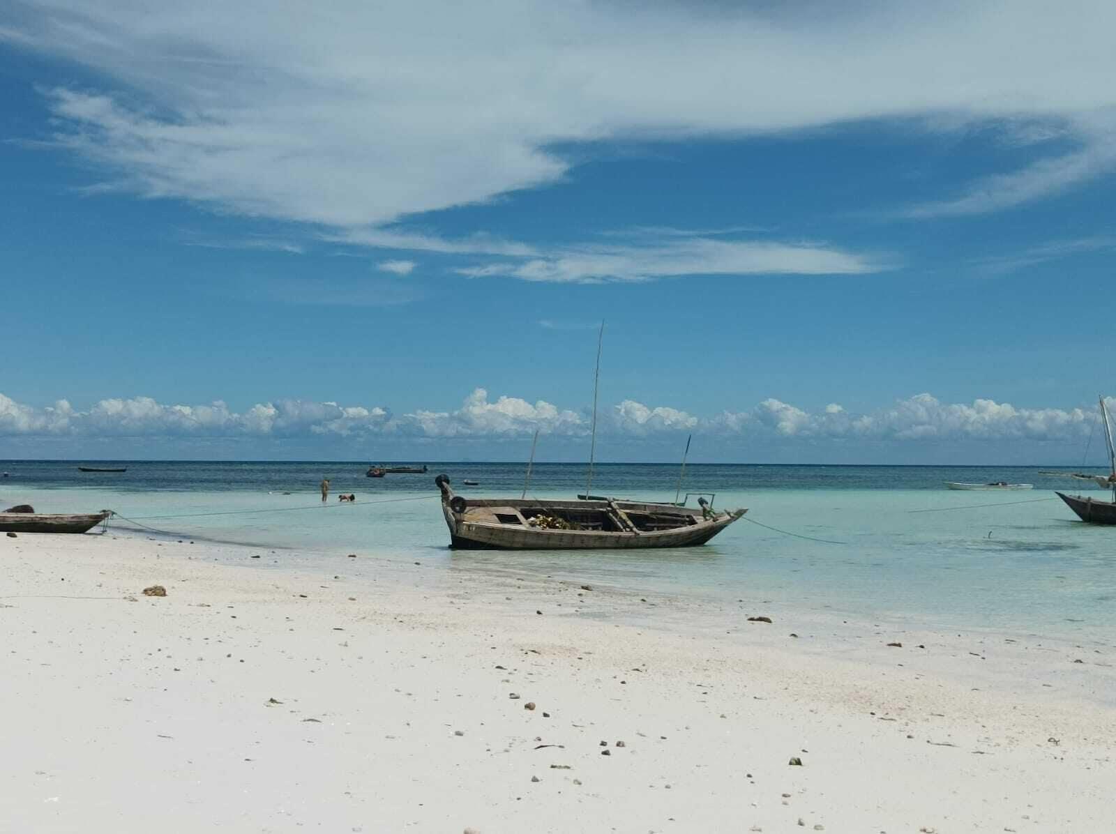 Playa Zanzicrown Hotel
