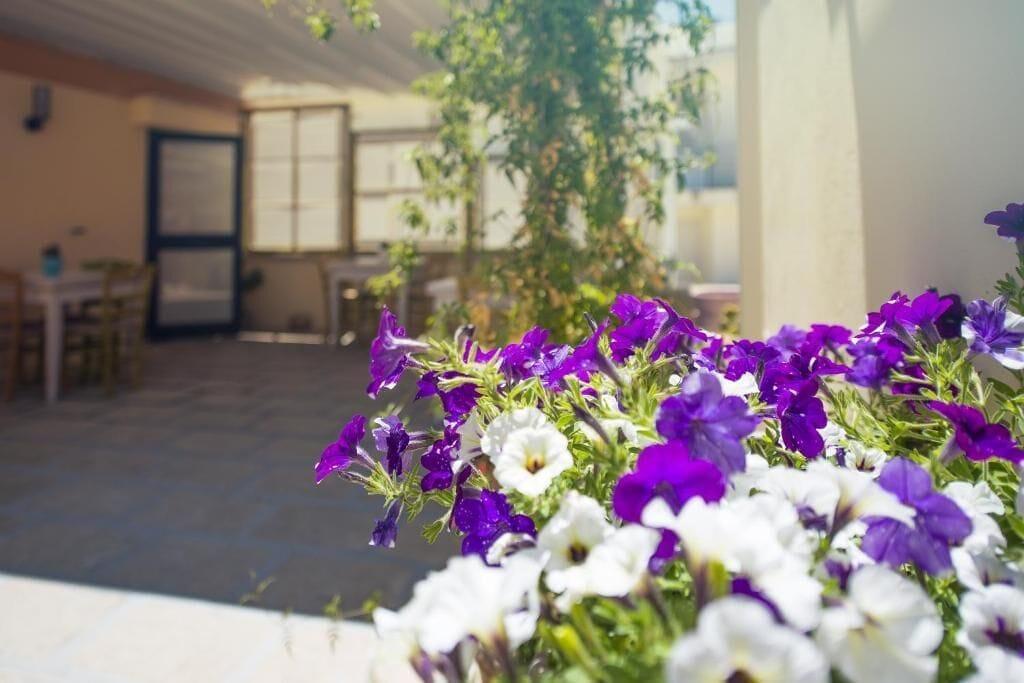 Comodidades del Alojamiento B&B Notos