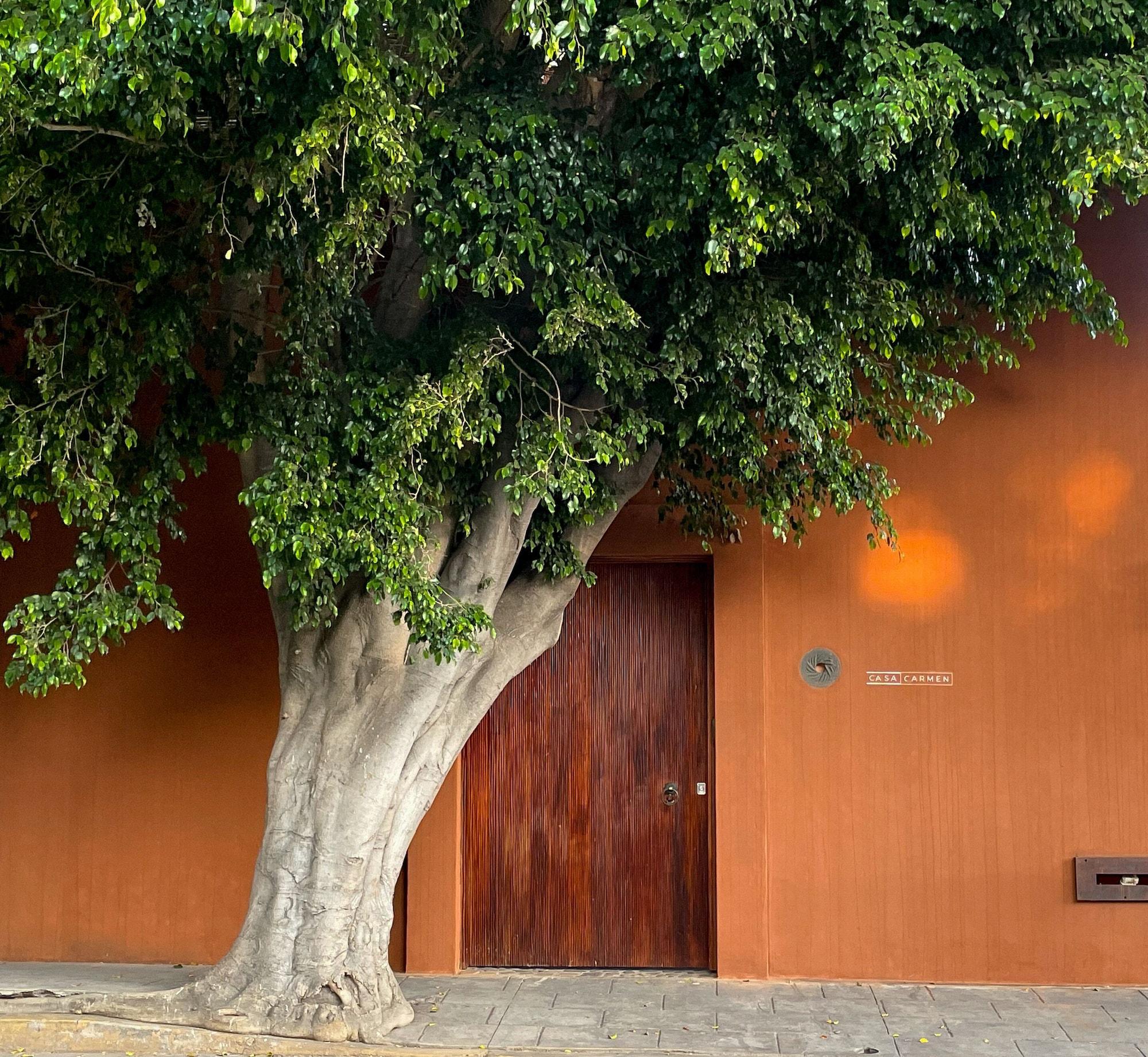 Varios Casa Carmen Reforma