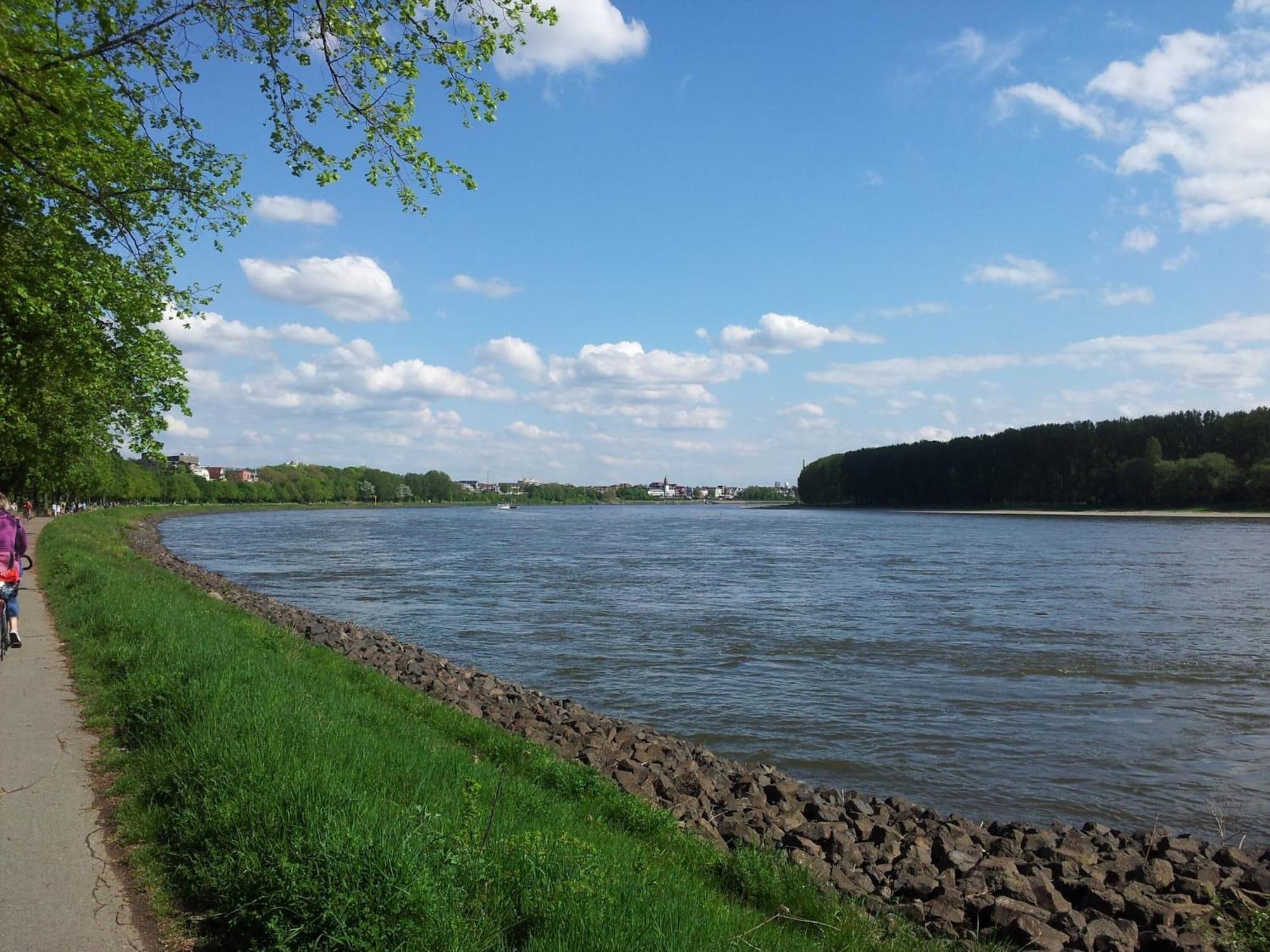 Playa StayInCologne