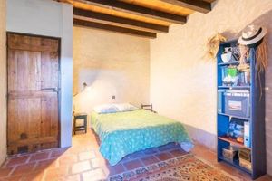 Alojamiento - Landes cottage with enclosed garden, ideal for animals