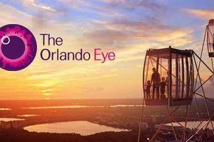 Actividad - El ojo de Orlando