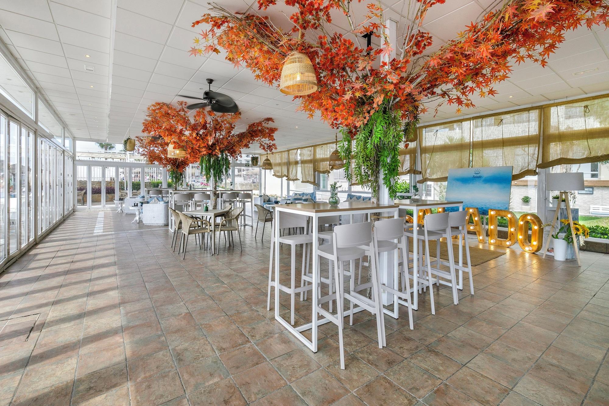 Restaurant Sol Puerto Marina