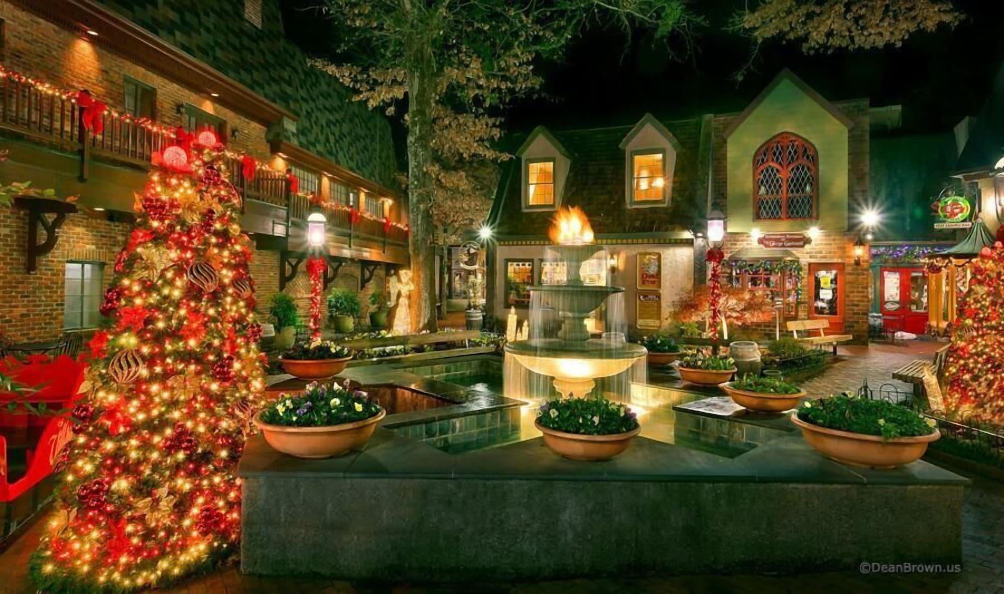Restaurant Moonstruck Apartment 1