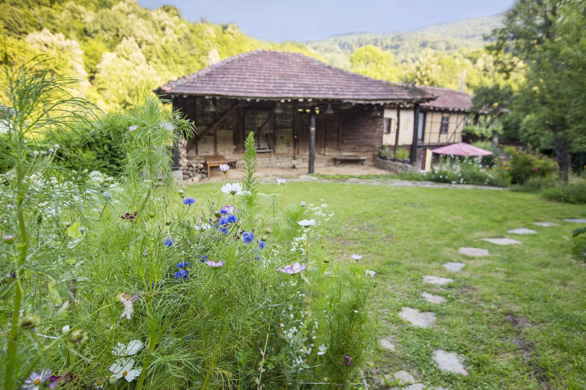Vista Exterior Little River Guest House