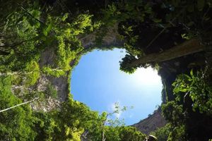 Actividad - Sima de las Cotorras y Cascada el Aguacero
