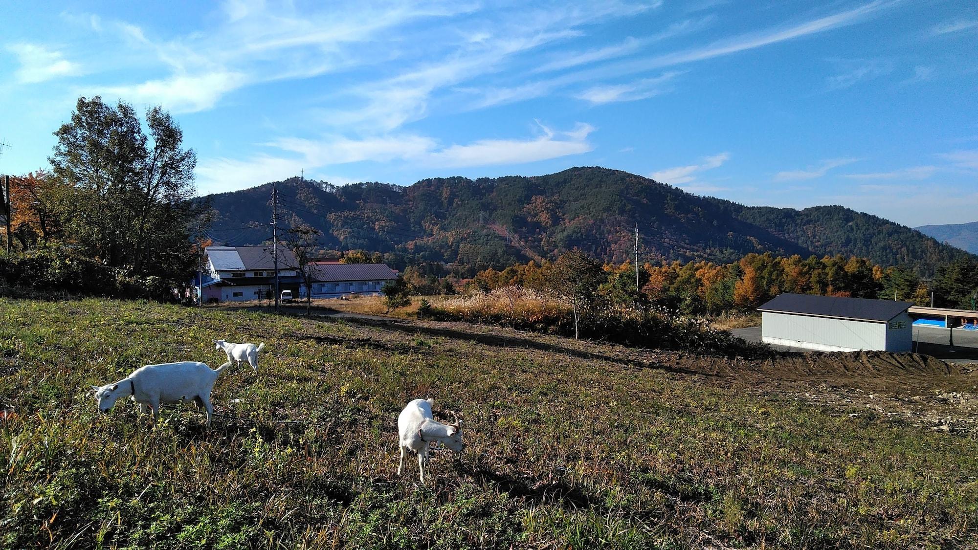 Vista Exterior Dancinghouse chikichiki banban