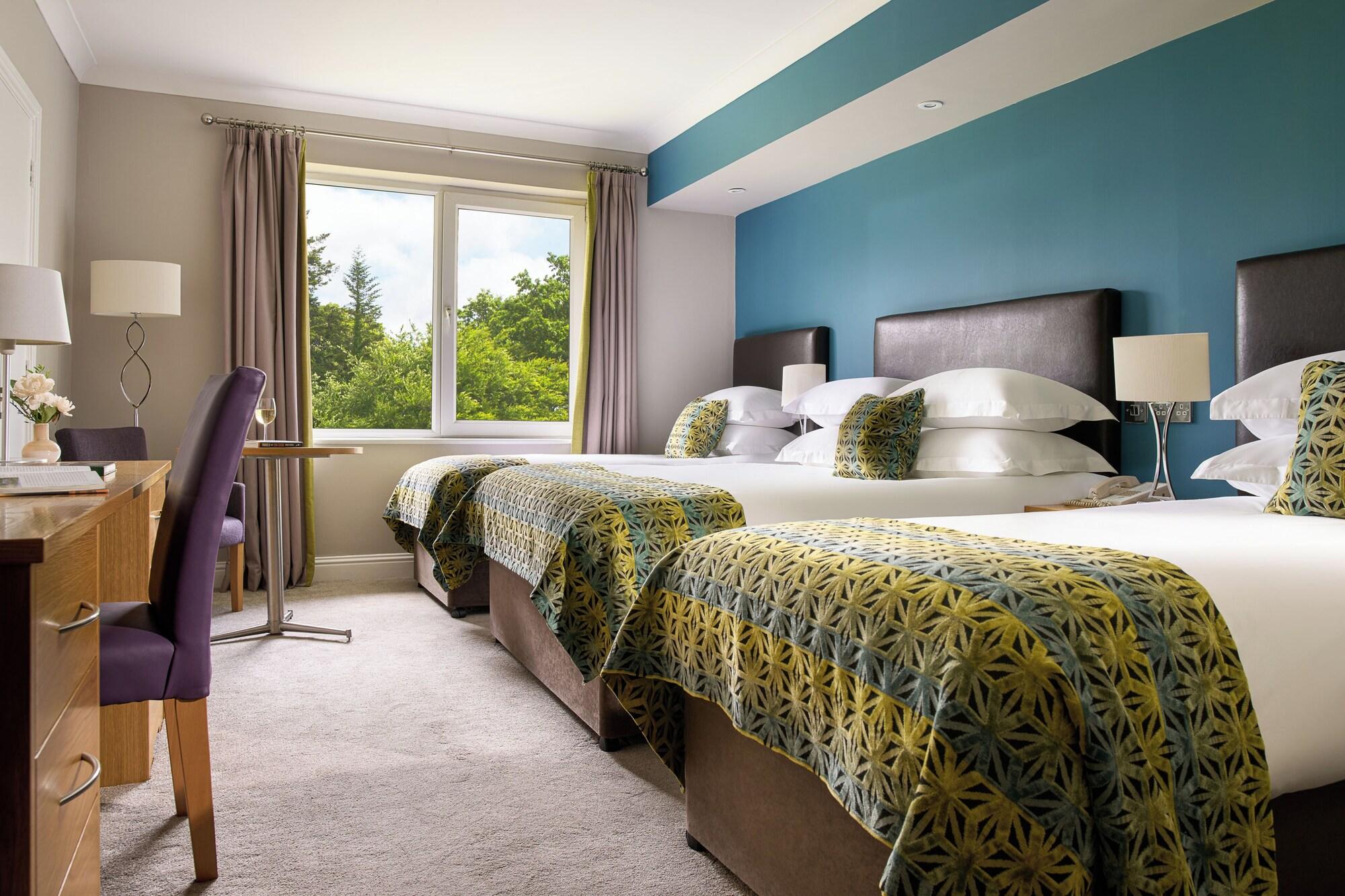 Habitación THE RINE