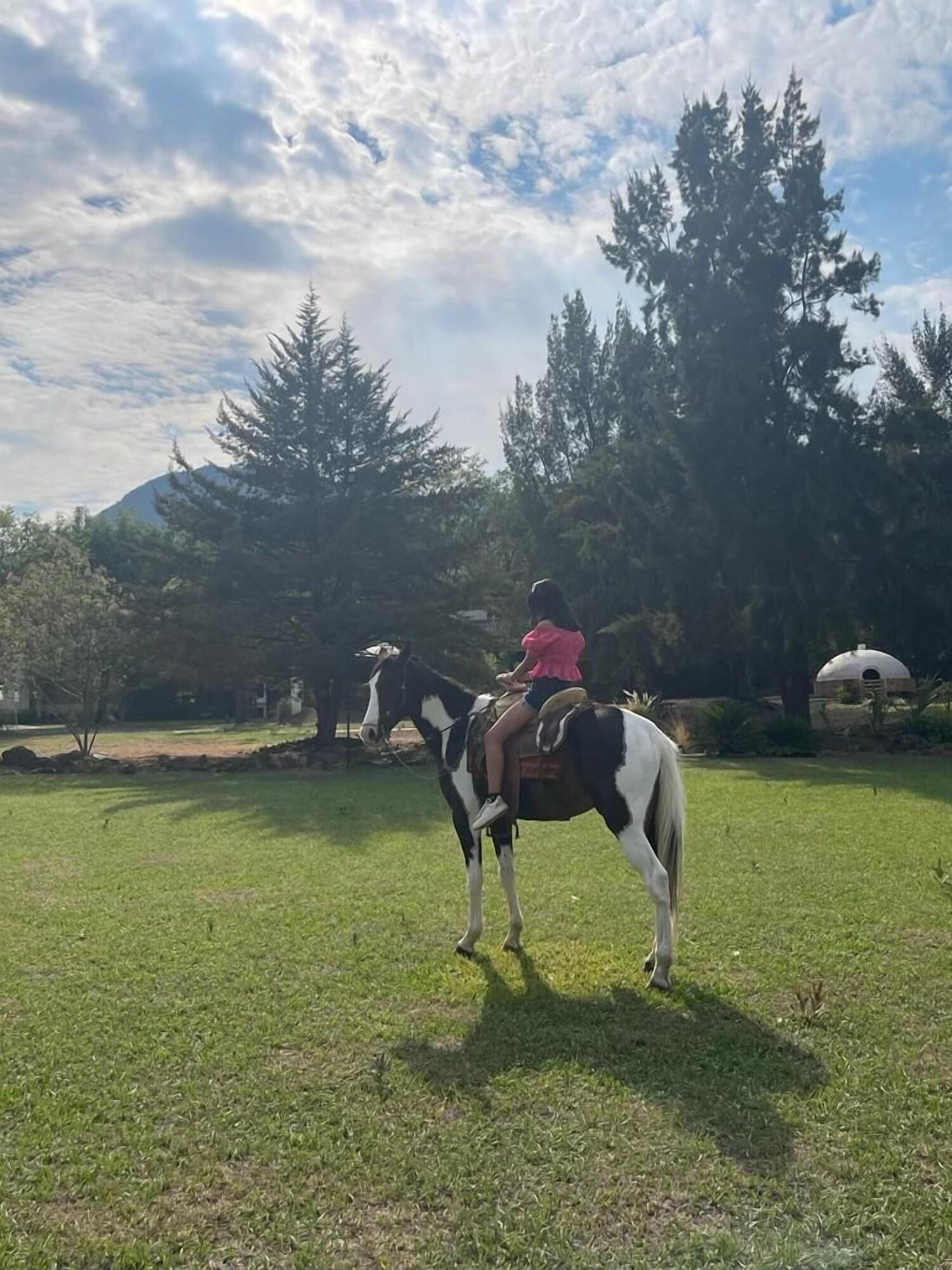 Instalaciones Recreativas Paraje Real Malinalco