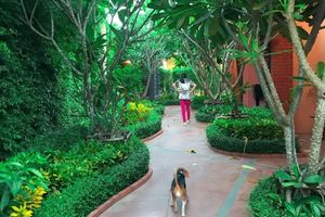 Alojamiento - Baan Noppadol Hua Hin Loft Hotel