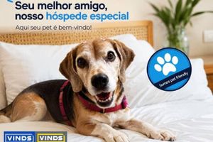 Alojamiento - Vinds Economic Hotel