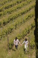 Alojamiento - Tenuta di Sticciano