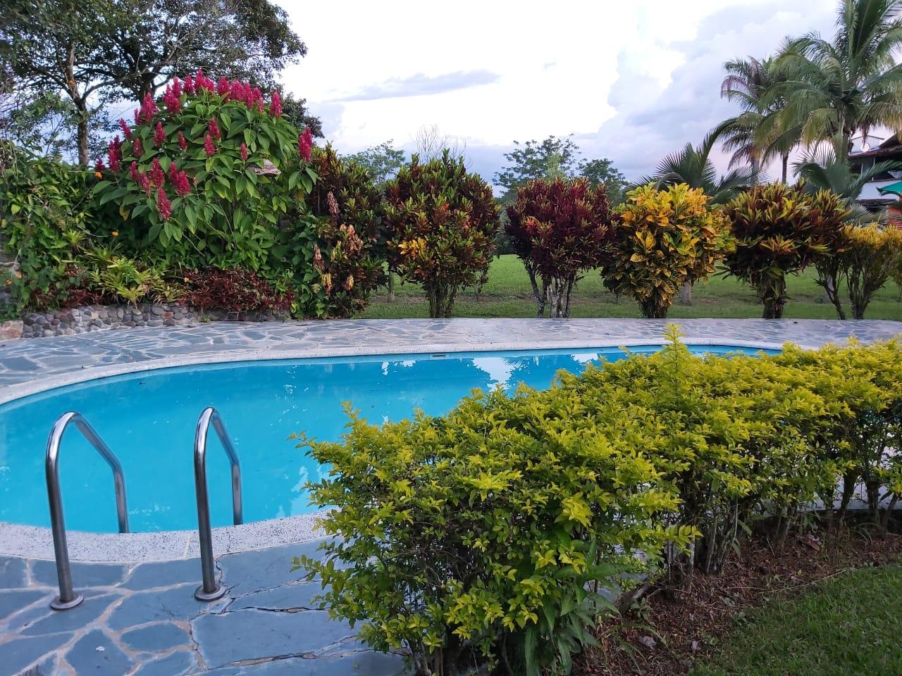 Vista Piscina Hotel del Campo