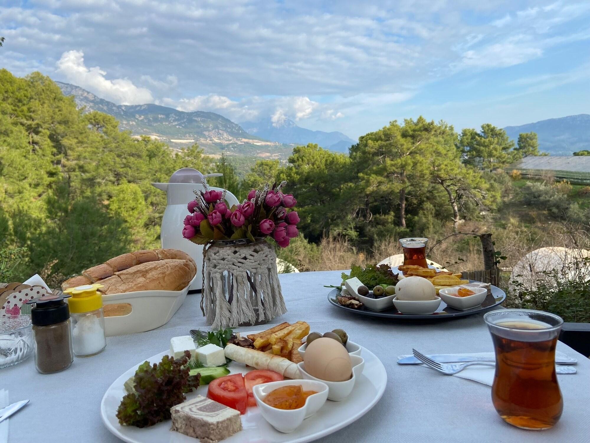 Vista Exterior Evergreen Glamping