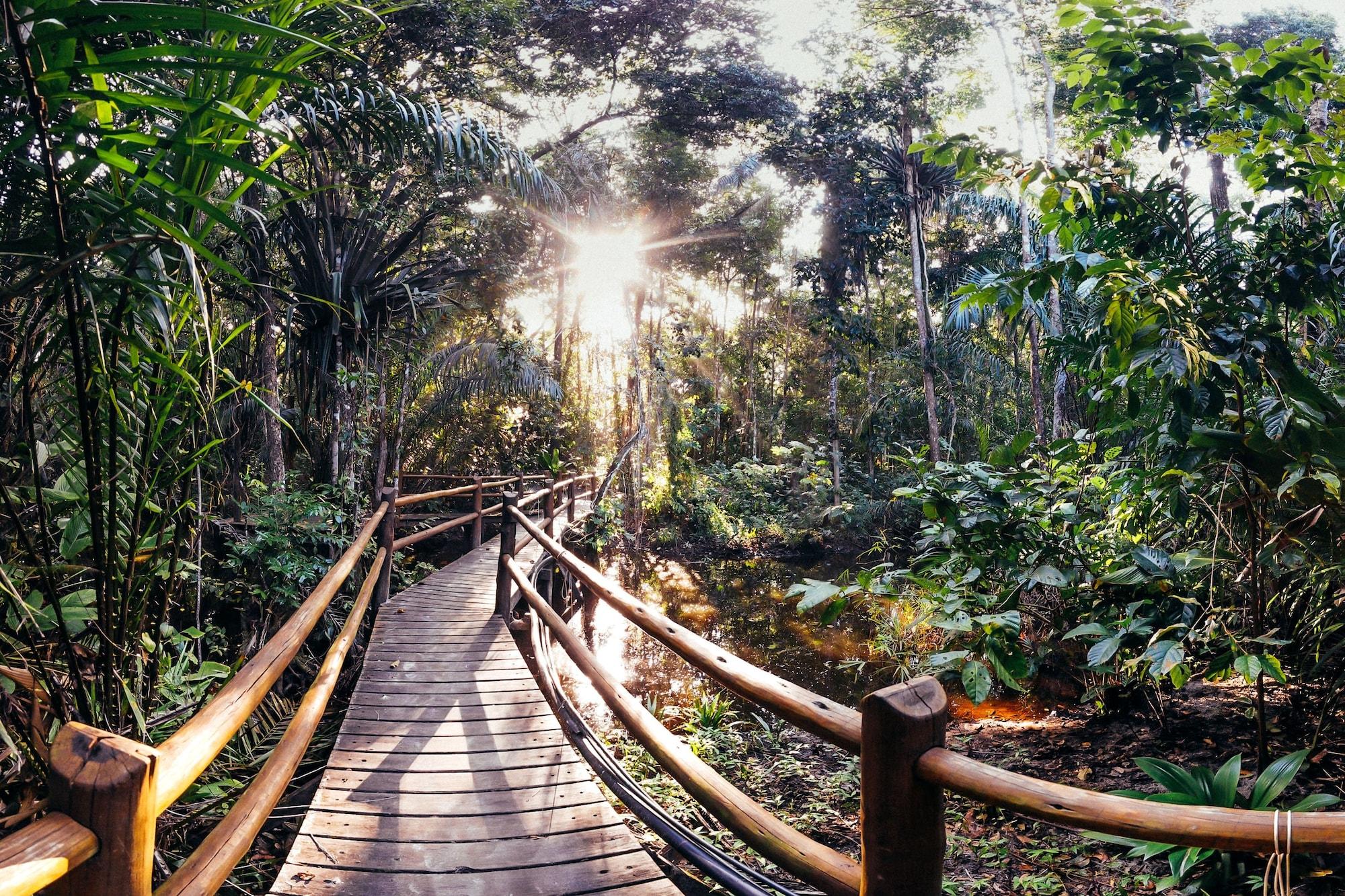 Vista Lobby Canto Leela Eco Bungalows