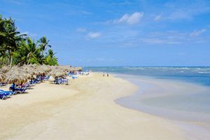 Alojamiento - Bahia Principe Escape Bouganville