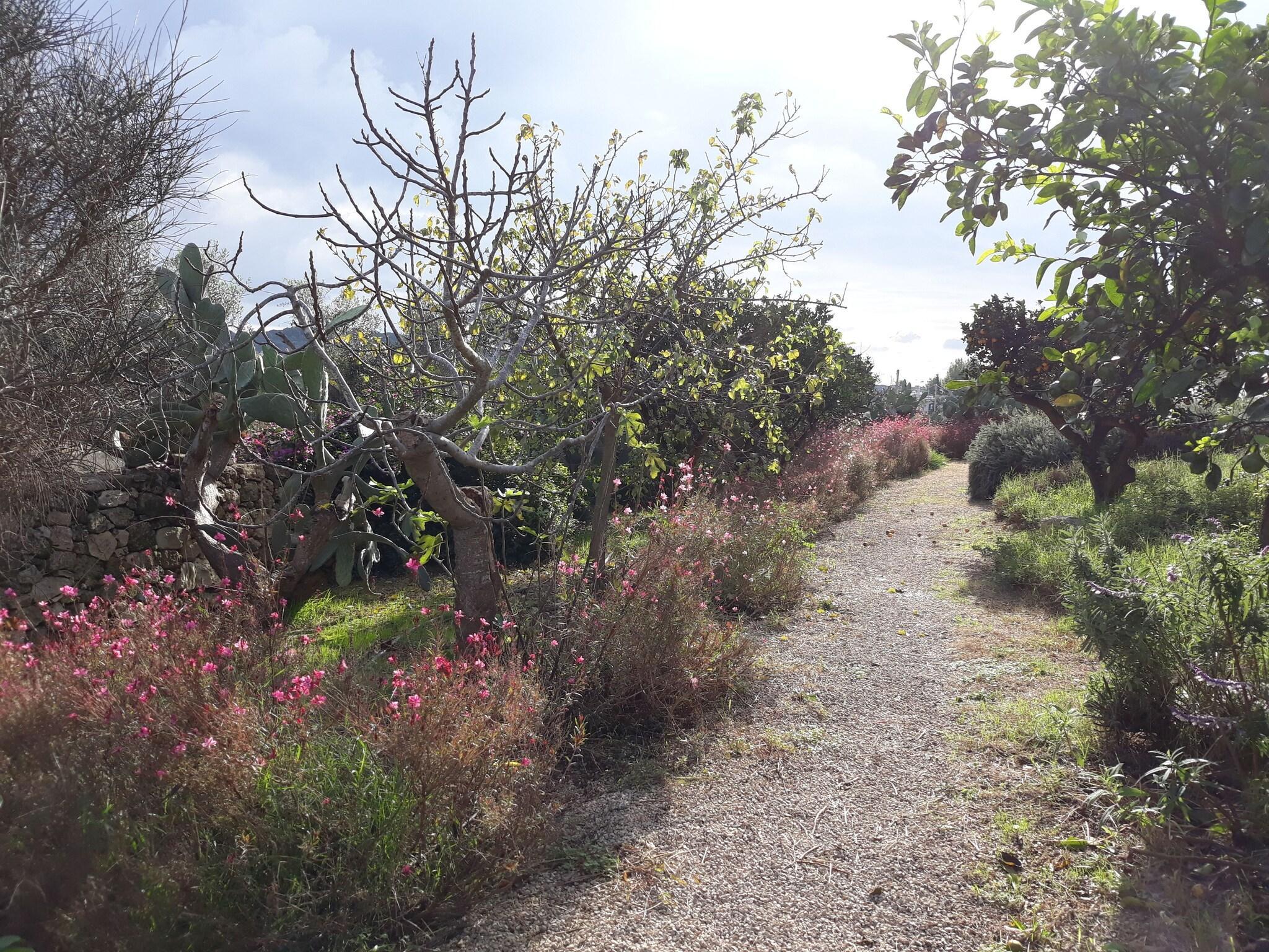 Vista Exterior Masseria L'Antico Frantoio