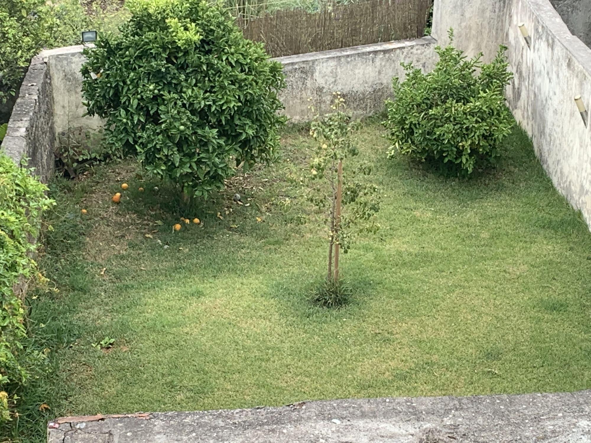 Vista Exterior Campanhã Boutique Station