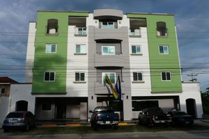 Alojamiento - Hotel Casa del Arbol