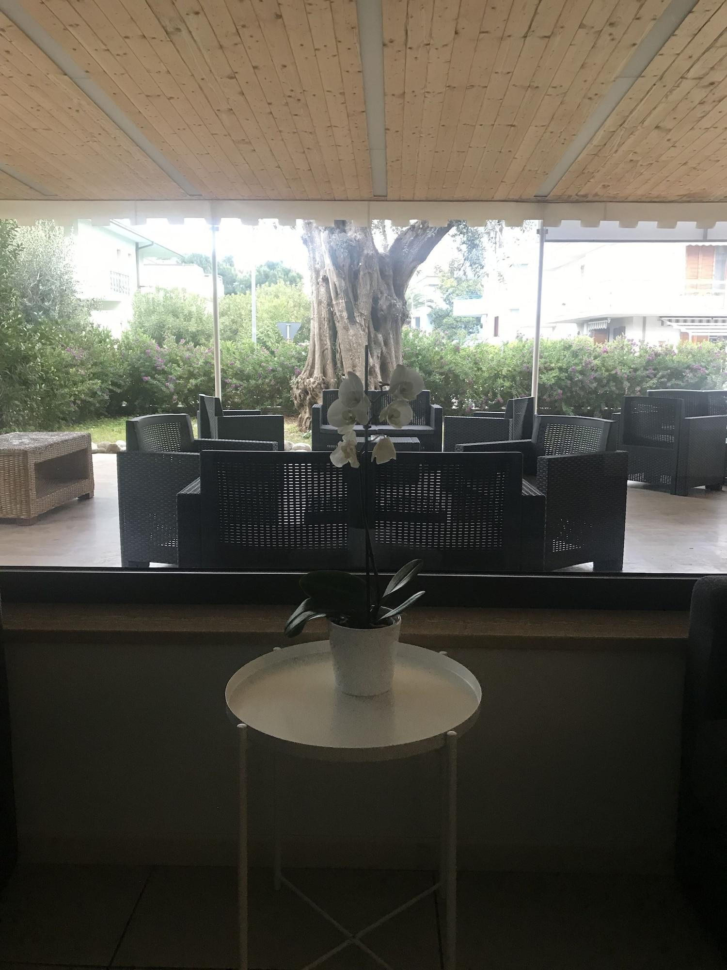 Vista Lobby Hotel Royal