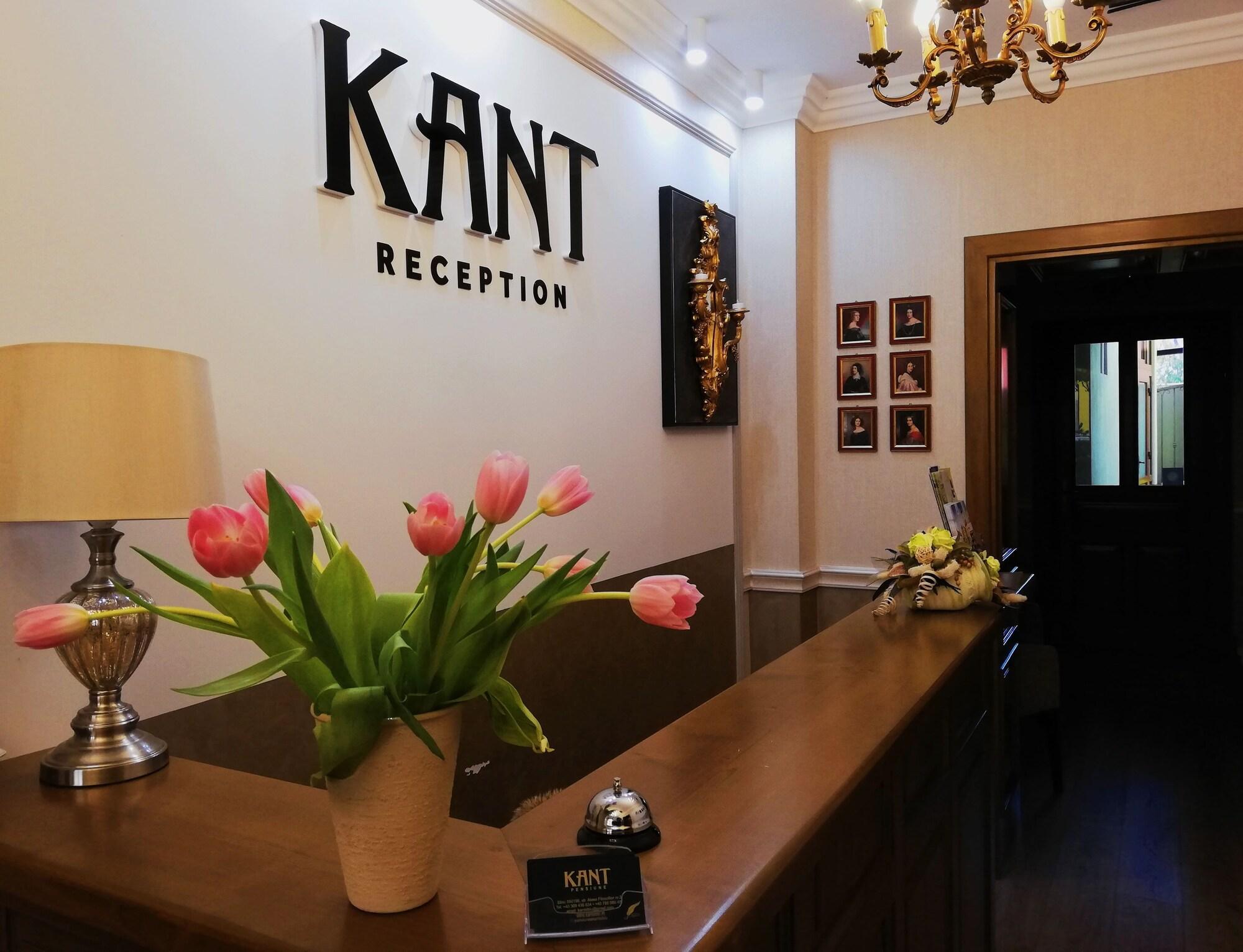 Vista Lobby Pensiunea Kant