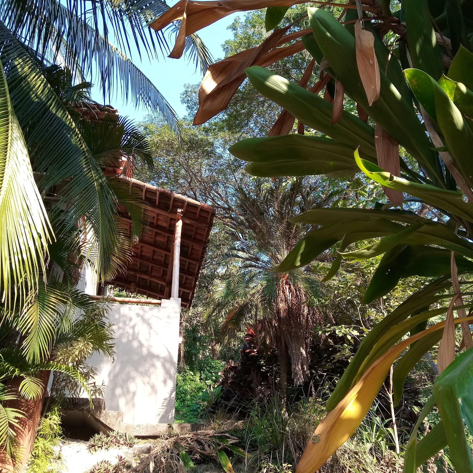 Vista Exterior Casa Pina