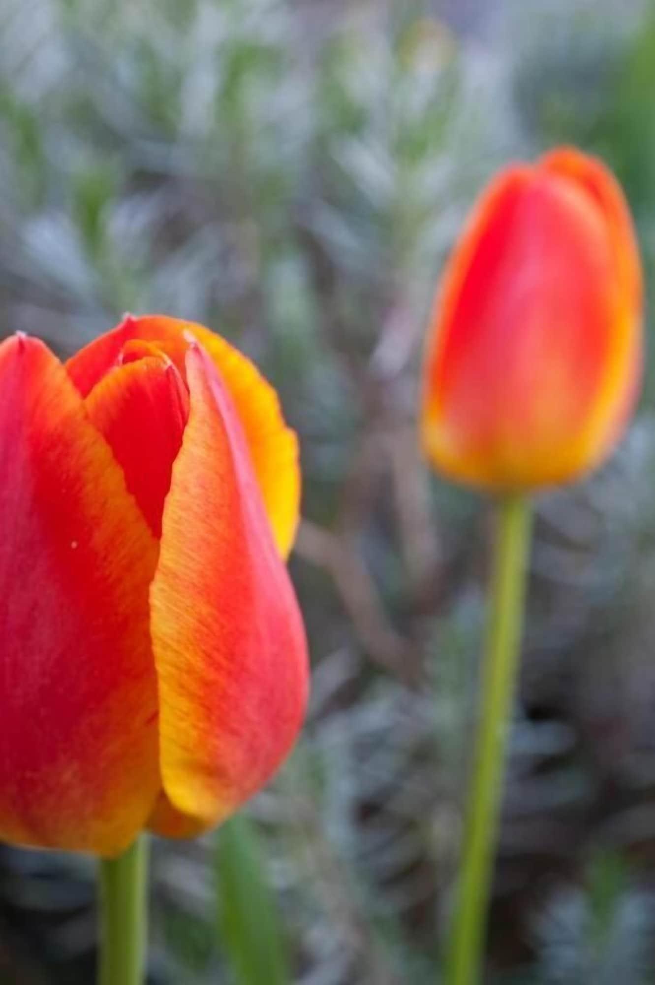 Vista Exterior Hotel Lechnerhof