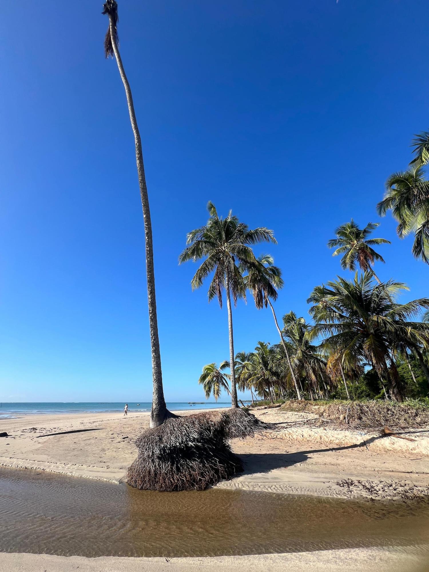 Playa Suits Praia Bonita Milagres